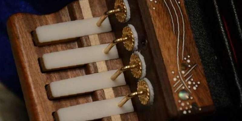 Орловчанам покажут гармонику-черепашку и английскую концертину XIX века