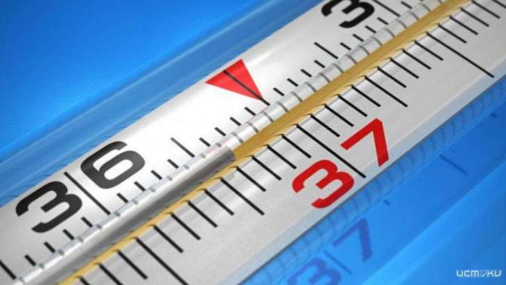 Почти у 40 % заболевших орловчан коронавирус никак не проявляется 