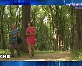 Зубры на площади Ленина. Экспресс - новости.