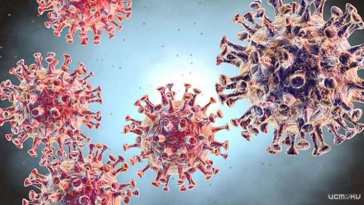 Число случаев COVID-19 в России превысило 2 млн, а на Орловщине умерло еще двое 