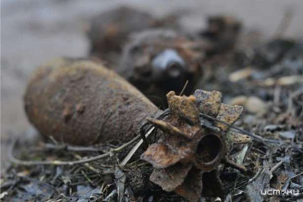 В выходные в Орловской области уничтожили более 20 боеприпасов со времен ВОВ