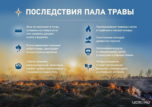 Орловское МЧС предупреждает о последствиях поджигания травы