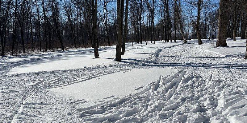 В Орле в парке Победы для любителей лыж прокатана лыжня. Мы опробовали