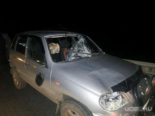 В Орловской области на автодороге М-2 «Крым» насмерть сбили 33-летнего пешехода