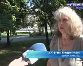 Очередной вандализм. Аккурат под знаменательную дату в Орле начали вырубать сквер Ветеранов