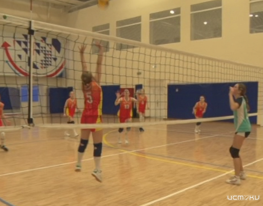 В эти выходные поклонников волейбола ждут на играх мужских и женских команд