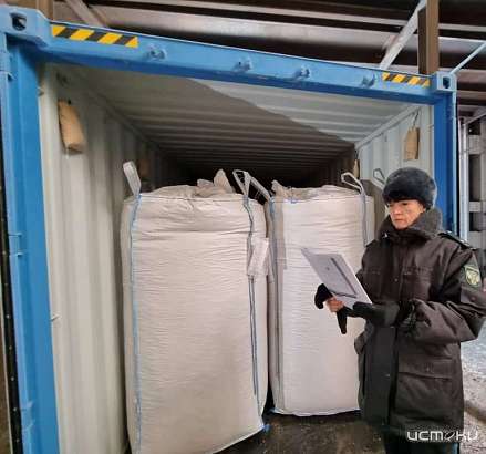 Экспорт рапса из Орловской области увеличился более чем в 2 раза