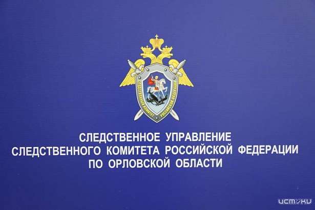 В Орловской области в отношении 2 полицейских возбудили уголовные дела о превышении должностных полномочий