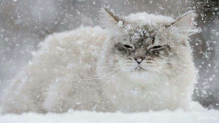 На Орел надвигаются морозы и снег