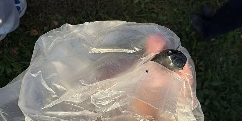 В Орле задержан молодой мужчина с синтетическим наркотиком
