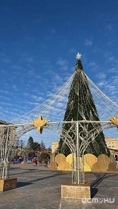 Новый год не так далеко. В Орле принимают заявки на участие в елочных базарах