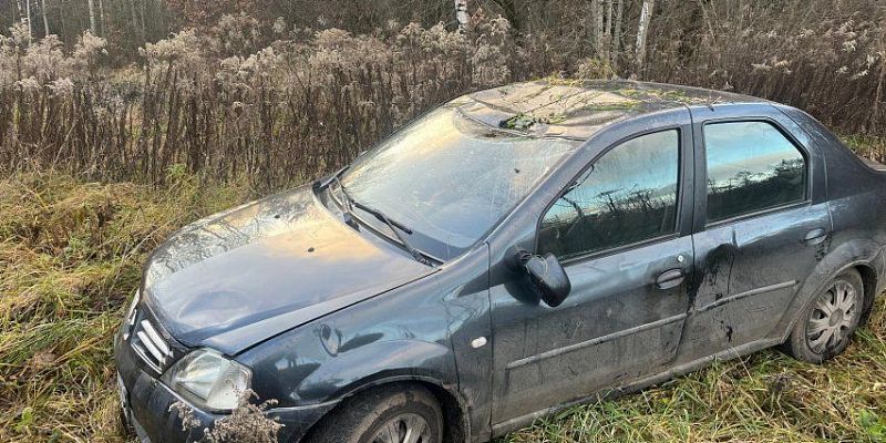 Под Орлом легковушка вылетела в кювет и перевернулась. Пострадал водитель