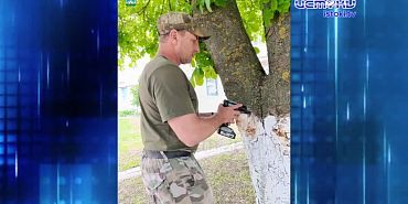 В сквере Бунина опиливают деревья!