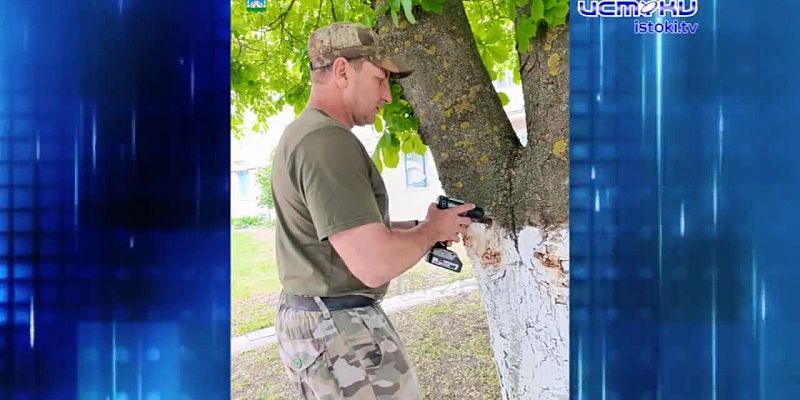 В сквере Бунина опиливают деревья!