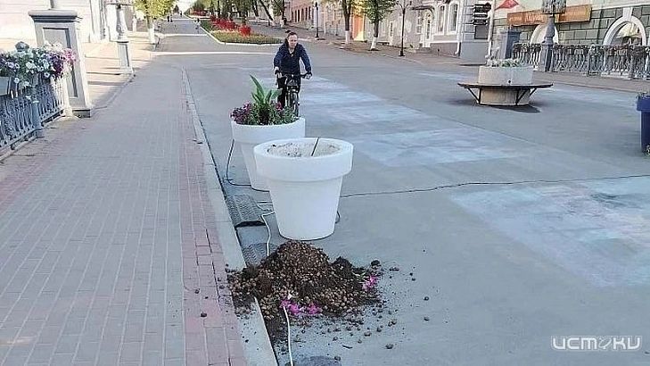 В Орле вандалы разгромили цветочный вазон на Александровском мосту