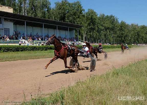 Орловский ипподром откроет беговой сезон 30 апреля
