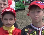 Поле, русское поле