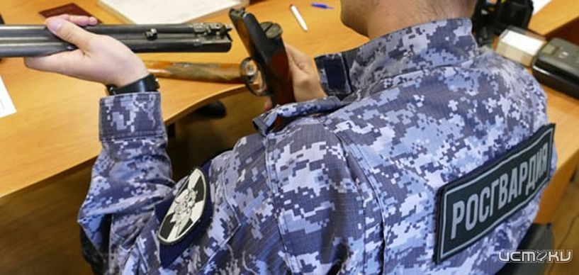 Орловчанин нашел во время прогулки два ружья