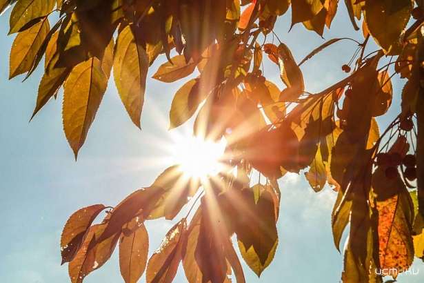 Орловчан предупредили о дождях и грозах