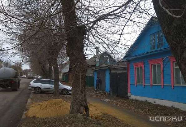 Трухлявая угроза раскинулась над улицей Колхозной в Орле