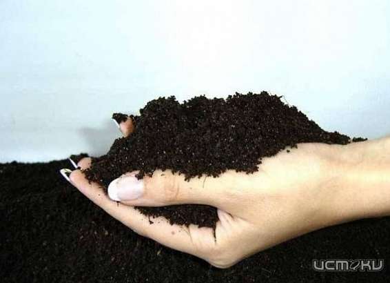 Организация, прокладывая нефтепровод, испортила почву на 160 млн рублей