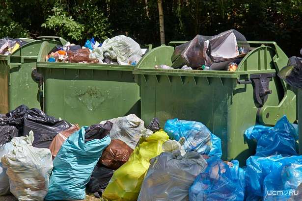 Прокуратура Орловского района разобралась со свалкой в д. Касьяновка