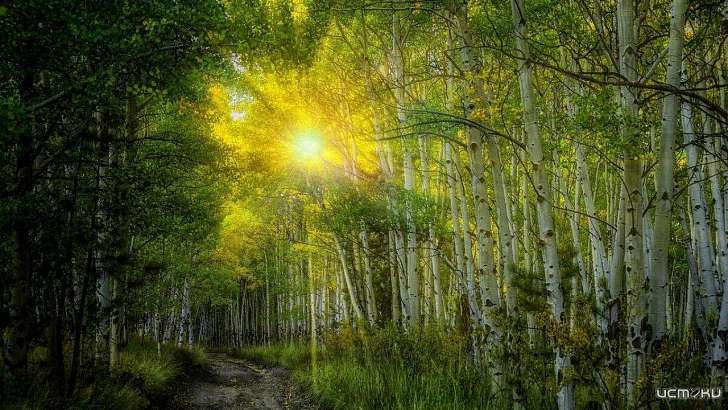 В воскресенье в Орле будет жарко