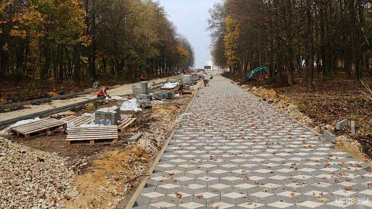 Клычков показал, как в Орле избавляются от джунглей в парке Победы