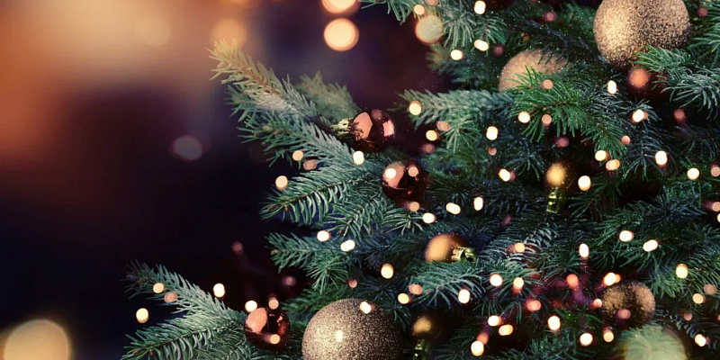 Орловчане, верите ли Вы в то, что наступающий Новый год будет лучше, чем уходящий ? 