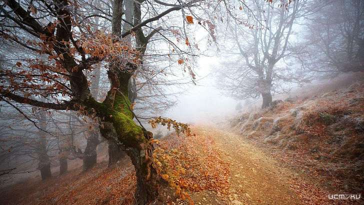 Одевайтесь теплее: сегодня в Орле станет еще холоднее