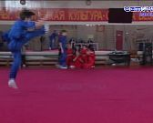 В Орле подвели итоги Первенства города по ушу