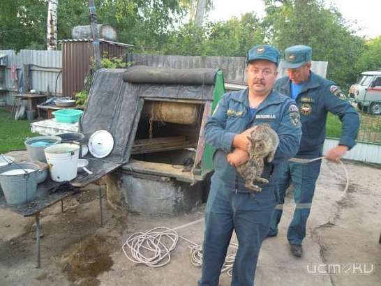В Должанском районе сотрудники МЧС спасли кошку из колодца