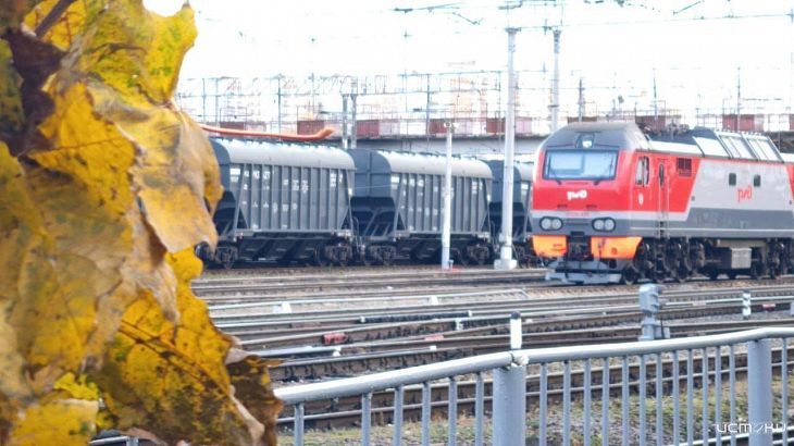 Погрузка жмыхов на железной дороге в Орловской области выросла на 23% в январе-октябре