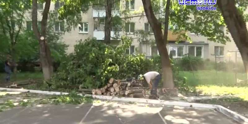 Бич этого года - повальный спил деревьев в Орле. Причём во многих местах он вызывает негатив у жителей. Сегодня мы расскажем случай, когда мнения жите...