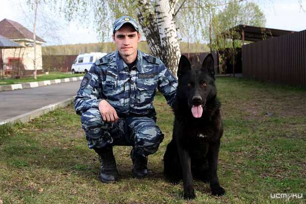 В Орле полицейский со служебной собакой нашли 4-летнего ребёнка