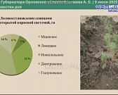 Гладко было на бумаге!