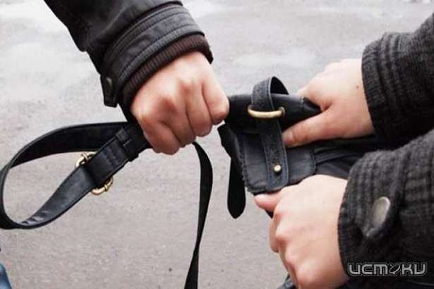 20-летний орловчанин на улице вырвал сумку из рук пенсионерки