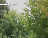 За окном холод и слякоть – самое время вспомнить последние теплые дни на «Тургеневском бережке»