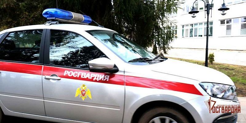 Орловчанин ночью выбил дверь запертого магазина, пытаясь проникнуть внутрь