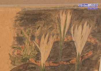 В Орле открылась выставка детских зарисовок и писем великого натуралиста Семенова-Тян-Шанского! В Орле открылась выставка детских зарисовок и писем великого натуралиста Семенова-Тян-Шанского!