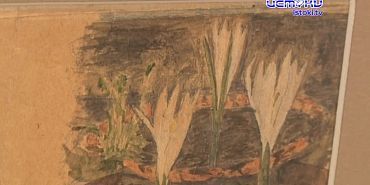 В Орле открылась выставка детских зарисовок и писем великого натуралиста Семенова-Тян-Шанского!