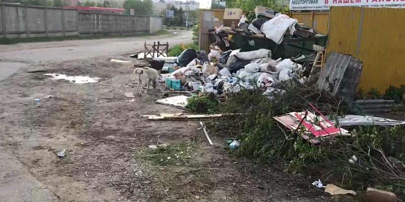 Источник зловония: прокуратура обратила внимание на свалку хлама в Орле