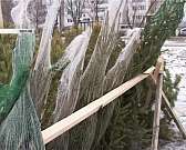 Новости за 90 секунд: елочные базары начнут работу с 15 декабря, областные депутаты пожелали, для себя любимых, удостоверения из натуральной кожи