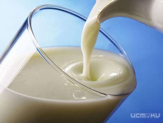 Власти намерены поддержать фермеров и скотоводов