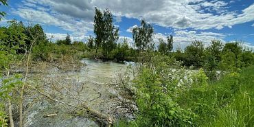 Руководитель службы эксплуатации сахарного завода пойдёт под суд за загрязнение Оки