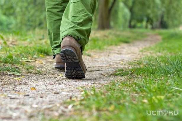 Орловский джипер рассказал о спасении грибника: как это было на самом деле