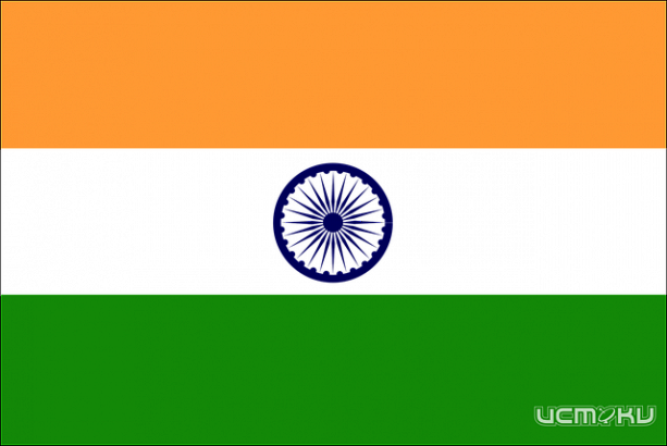 В Орловской области выявлен индийский штамм COVID-19