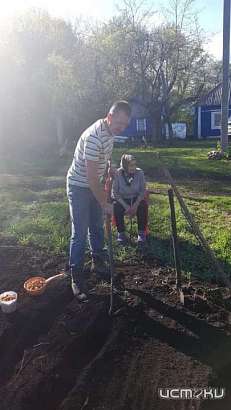 Орловчанам придётся рассчитать координаты уличных туалетов