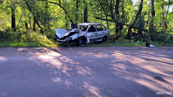На Орловщине 18-летняя девушка на «ВАЗе» угодила в дерево