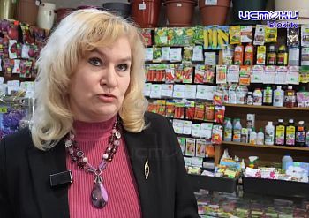 Экспертное мнение 01.04.2026